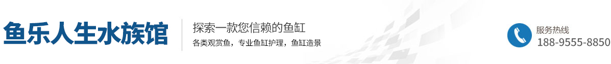 马鞍山市花山区鱼乐人生水族馆